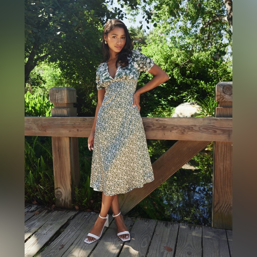 Backyard Roses Kristina Dress NWT